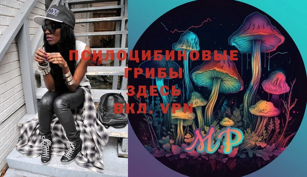 дмт Дмитриев