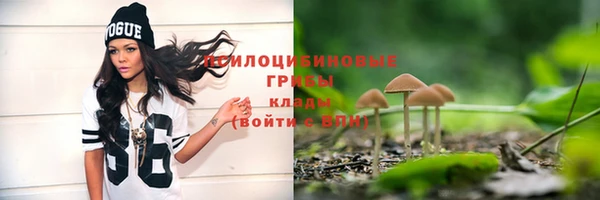 каннабис Дмитров