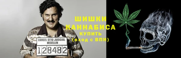 дмт Дмитриев