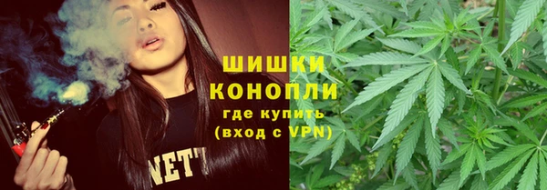 дмт Дмитриев