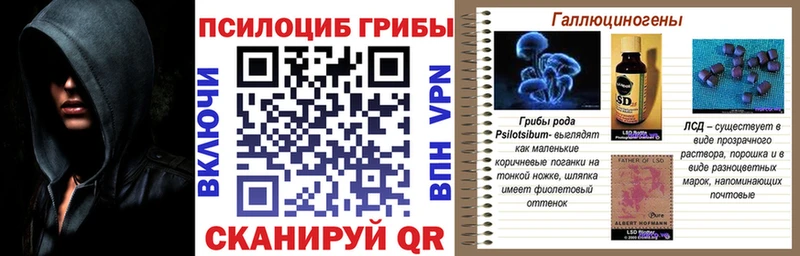 Купить  Монино  Псилоцибиновые грибы MAGIC MUSHROOMS 